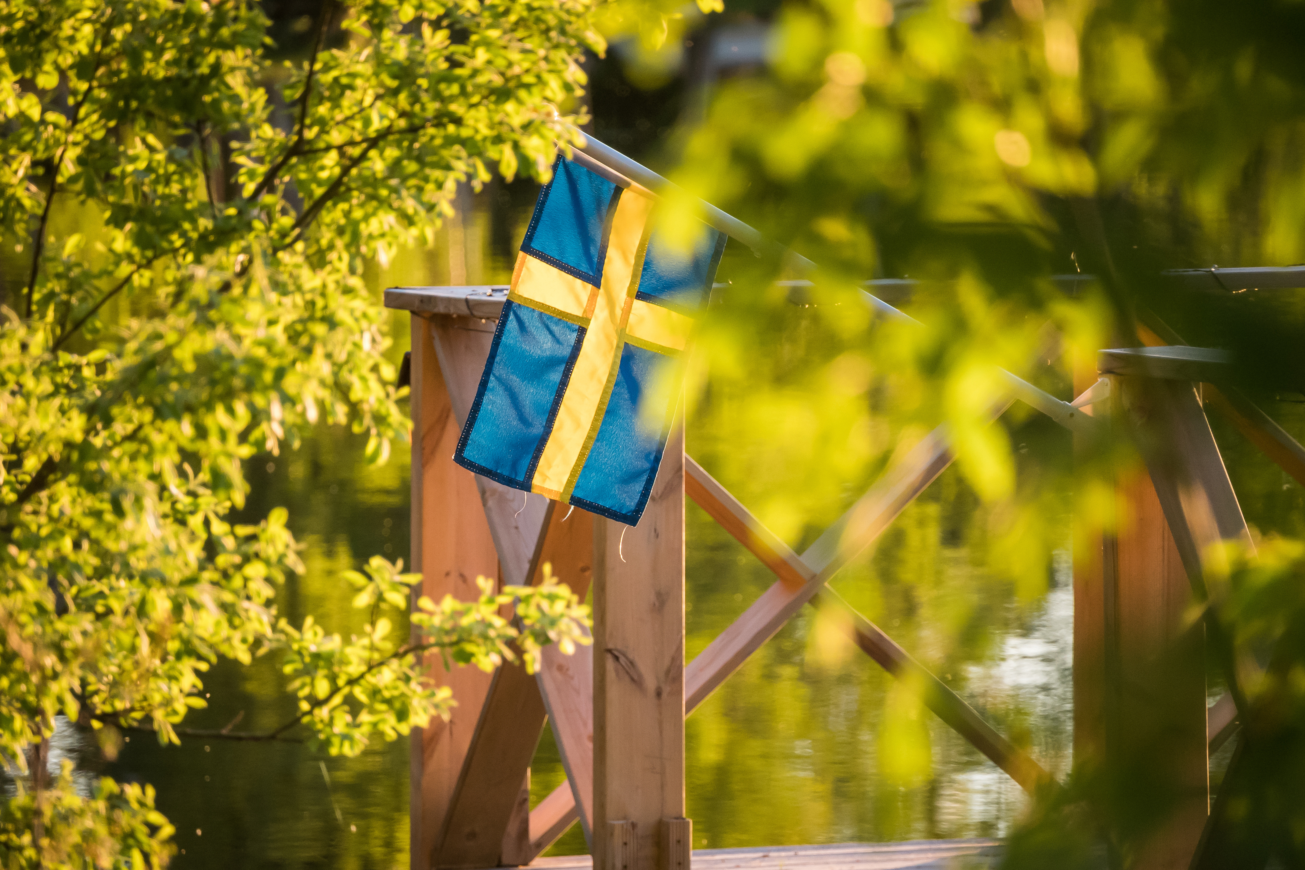 Sweden’s National Day June 6th